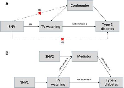 Shared Genetic Basis and Causal Relationship Between Television Watching, Breakfast Skipping and Type 2 Diabetes: Evidence From a Comprehensive Genetic Analysis